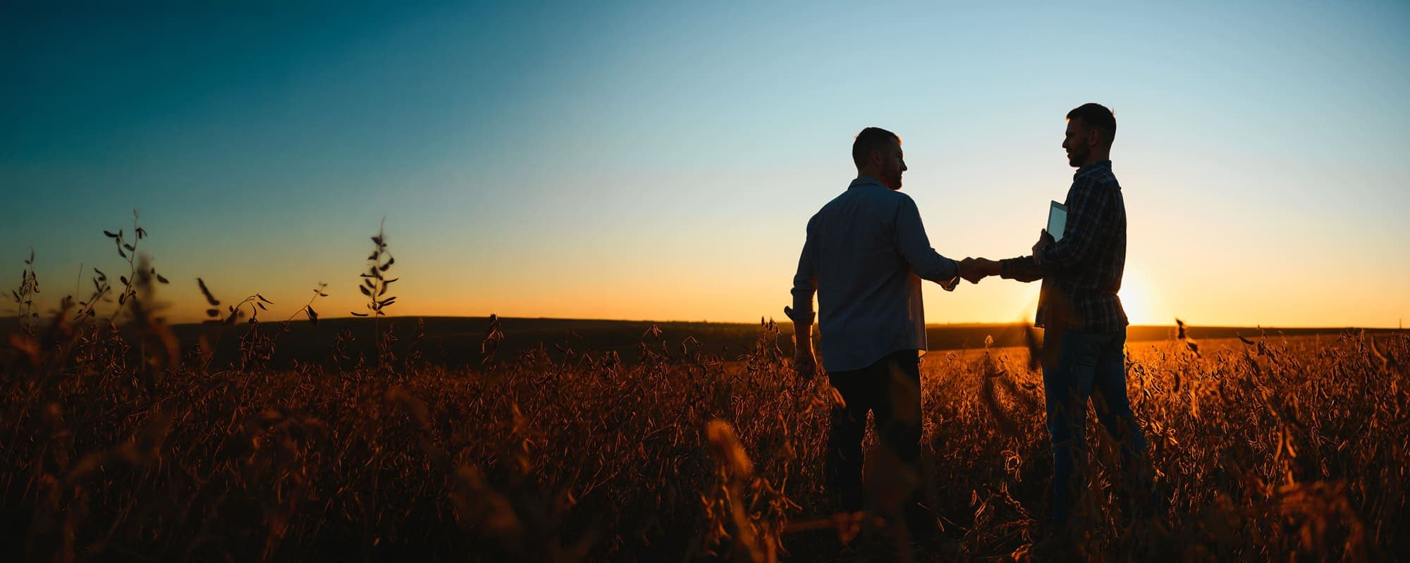 GEDIA Territoire — Fournisseur d'énergie